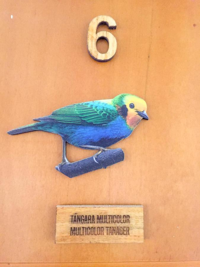 Cotinga Tribunas