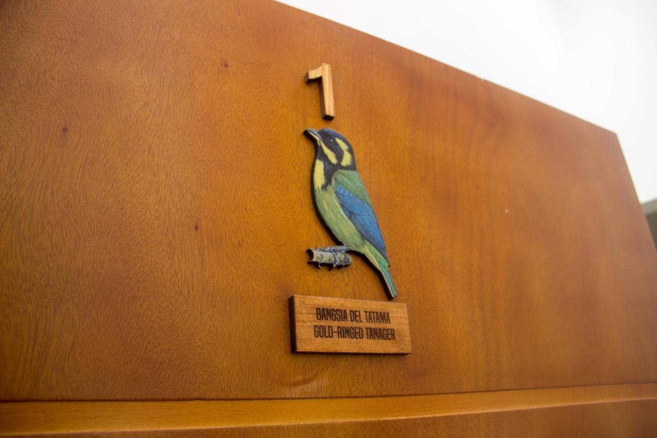 Hotel Cotinga 3*