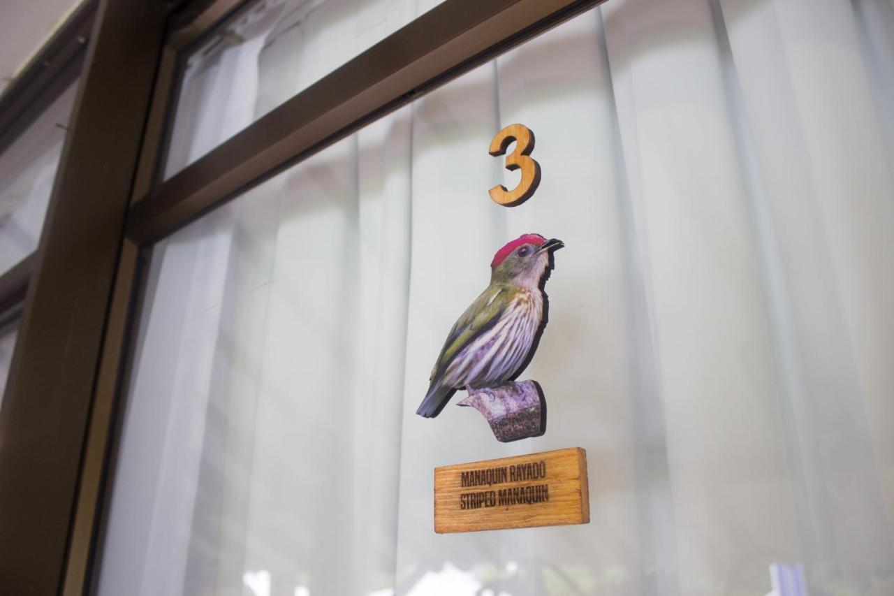 Cotinga 3* Tribunas