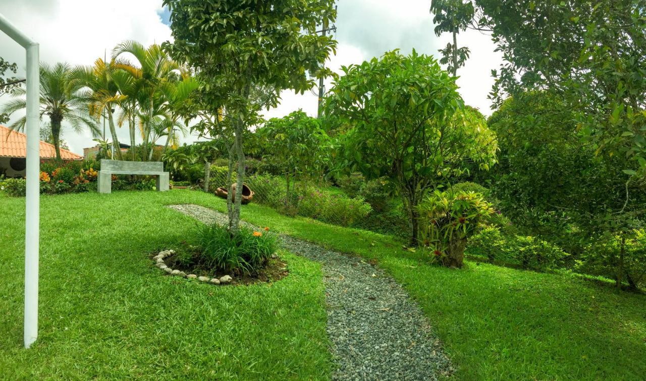 Cotinga Hotel 3*